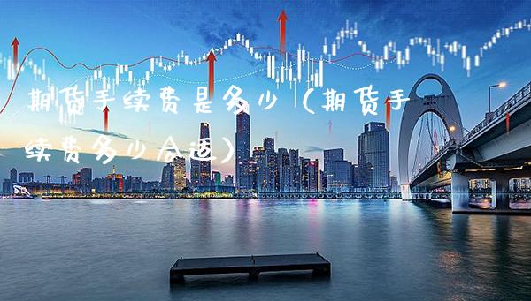 期货手续费是多少（期货手续费多少合适）_https://www.xmqjcw.com_期货投资_第1张