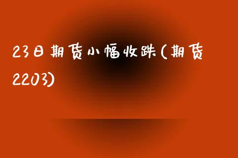 23日期货小幅收跌(期货2203)_https://www.xmqjcw.com_期货直播室_第1张